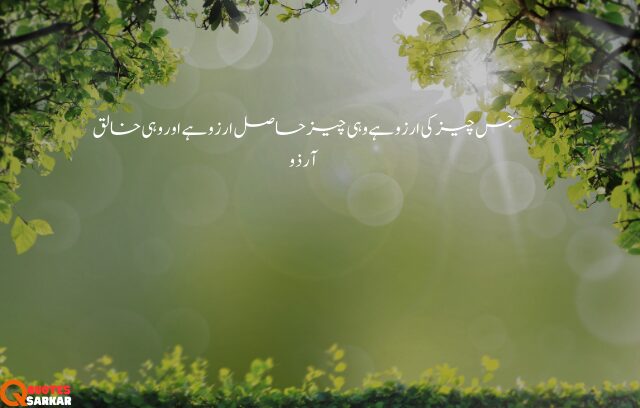 quotes in urdu