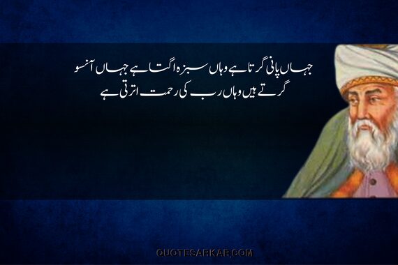 deep maulana rumi quotes in urdu