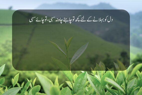 chai poetry tea in urdu