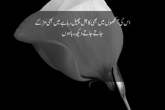 flower poetry in urdu 2 lines