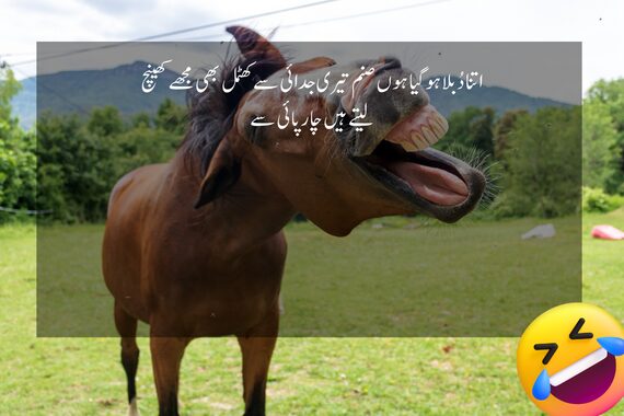 funny lines for friends in urdu