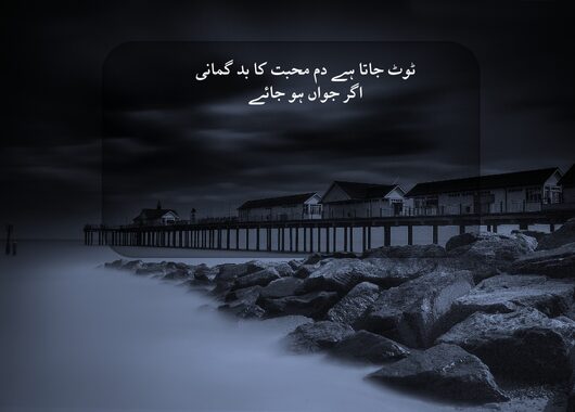 badgumani poetry in urdu 