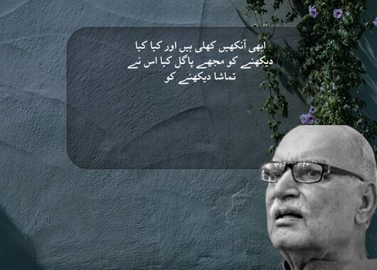 zafar iqbal poetry urdu