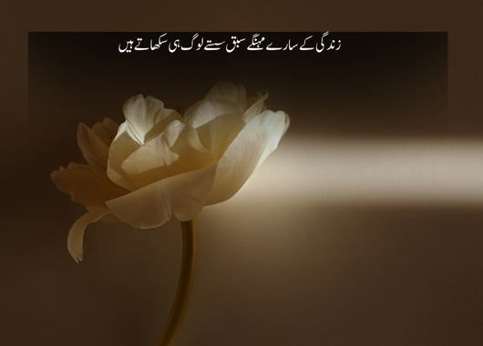 one line urdu poetry