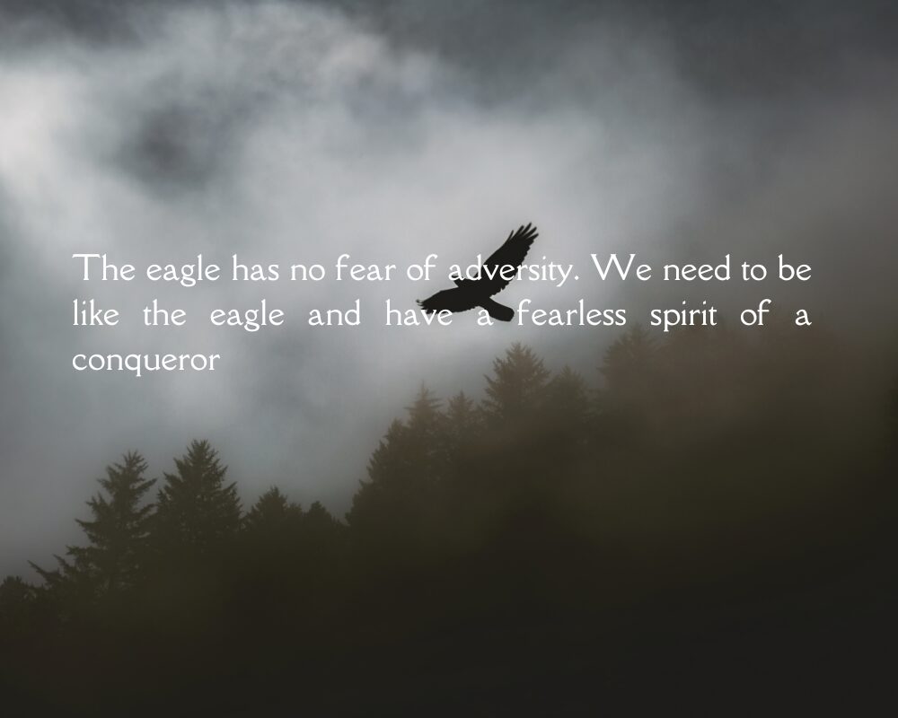 Eagle Quotes