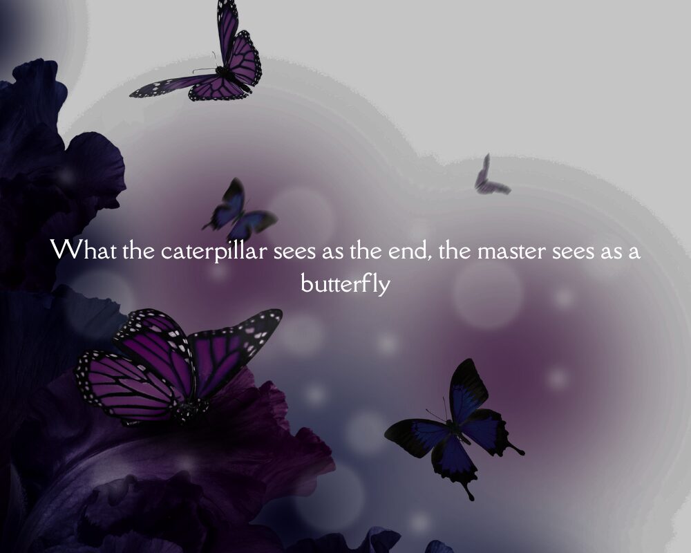 Butterfly Quotes 