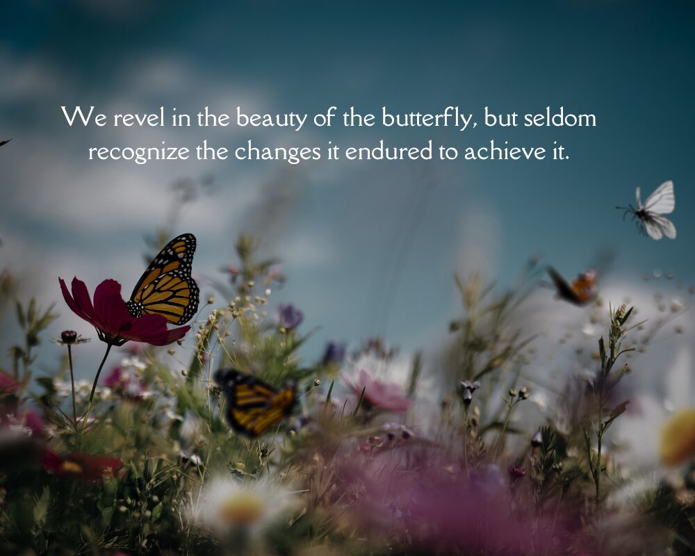 Butterfly Quotes 