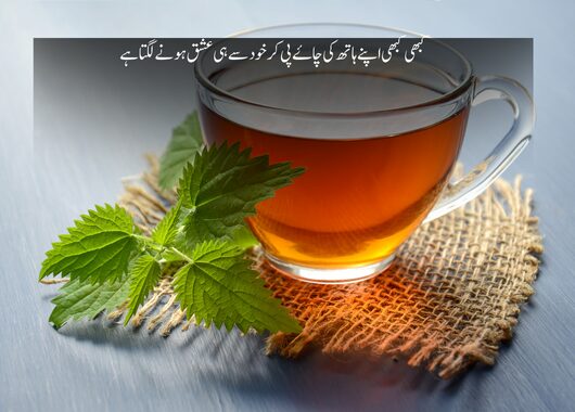 tea poetry text in urdu