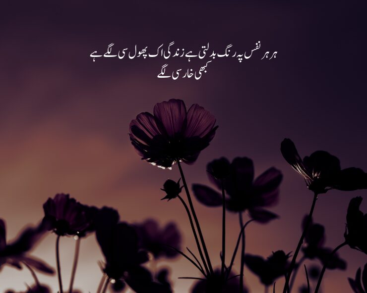 flower poetry in urdu