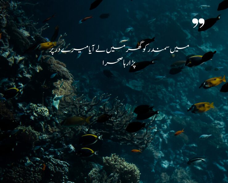 Samandar poetry in urdu