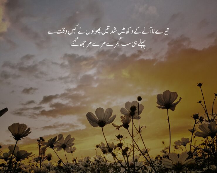 flower poetry in urdu